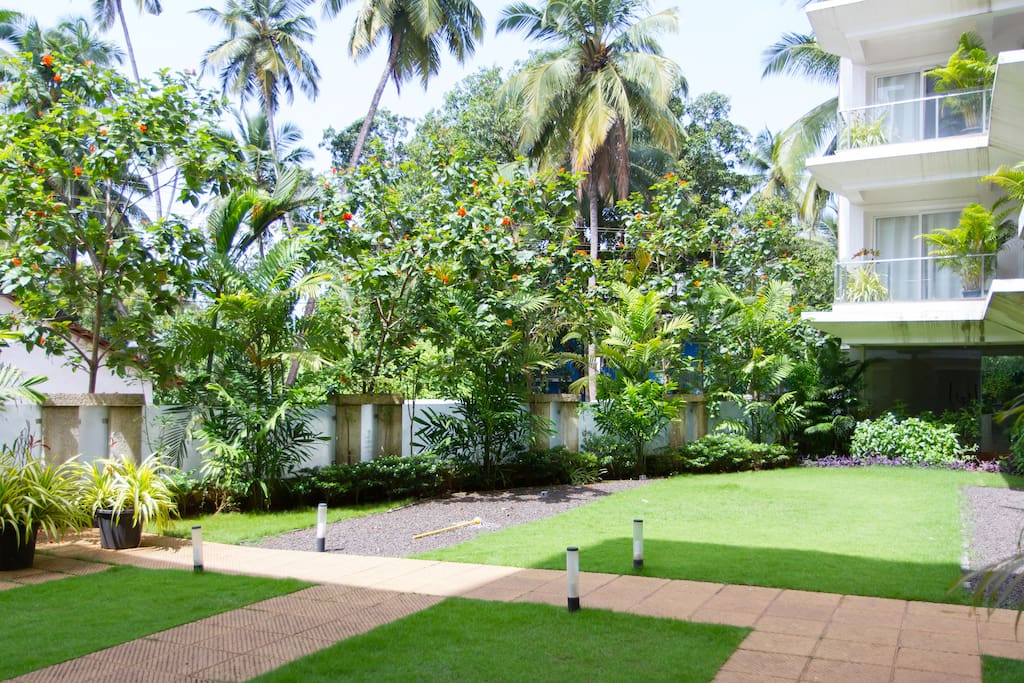 green grass and trees within the apartment block