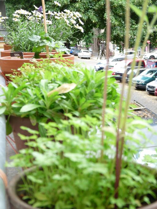 shared balcony