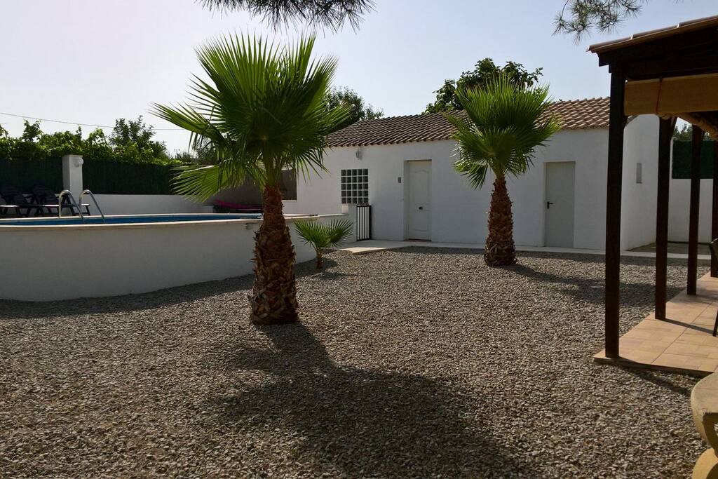 View of garden