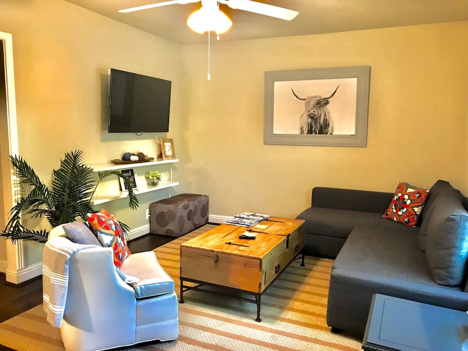 Main House: Smart Roku TV available with local stations. Games for all ages and a full sized, pull out sofa bed.
