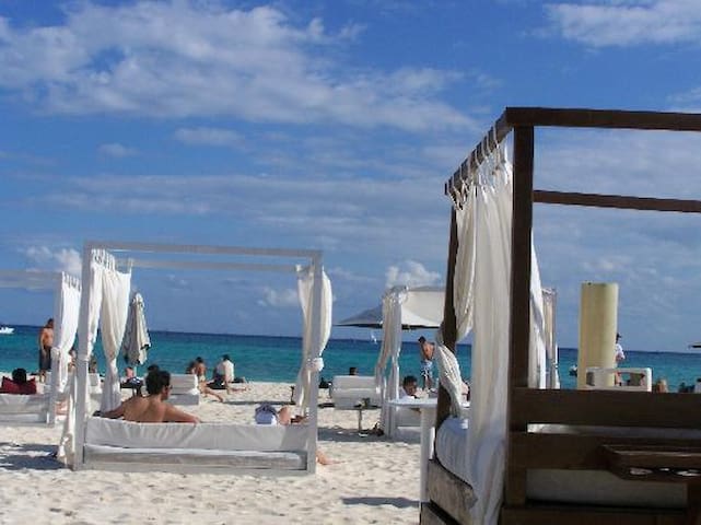 Mamitas Beach and 5th Avenue