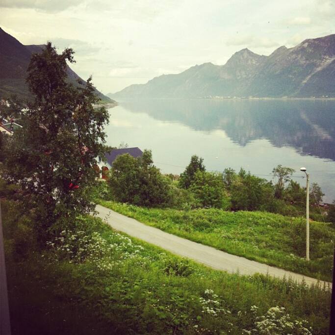 View from the house