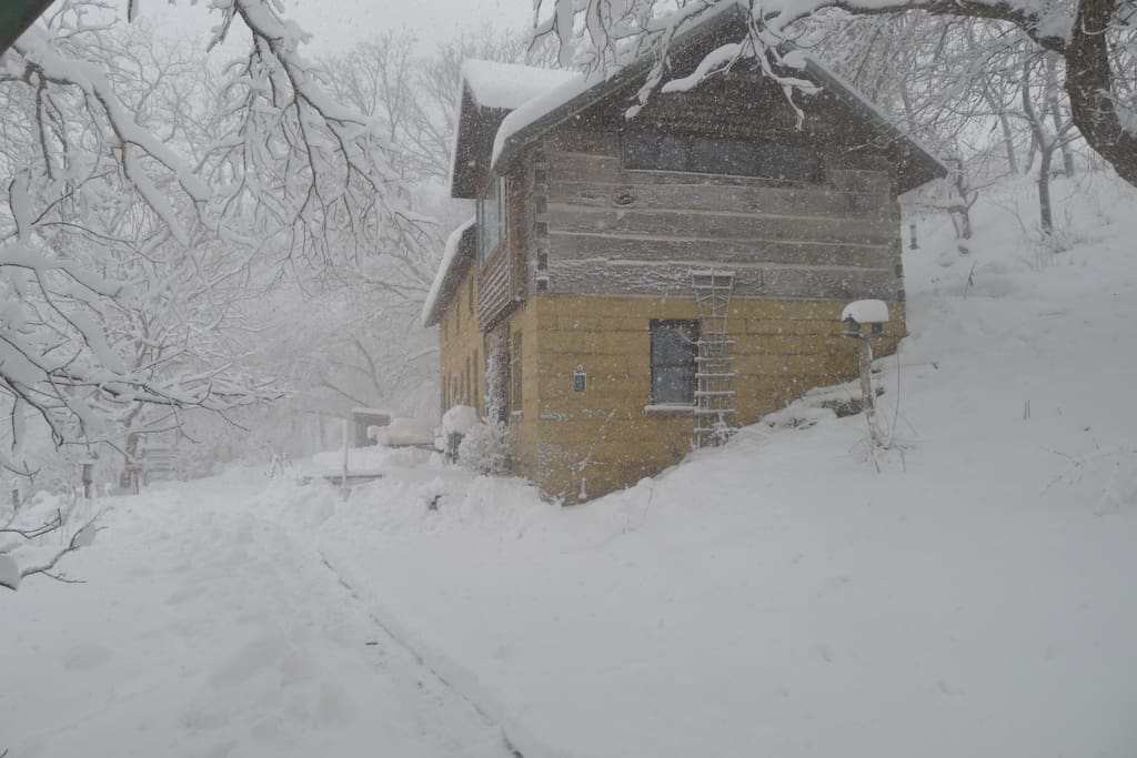 Just as pretty in winter, even after a blizzard!