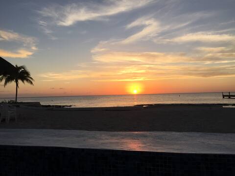 Beach Front Property
