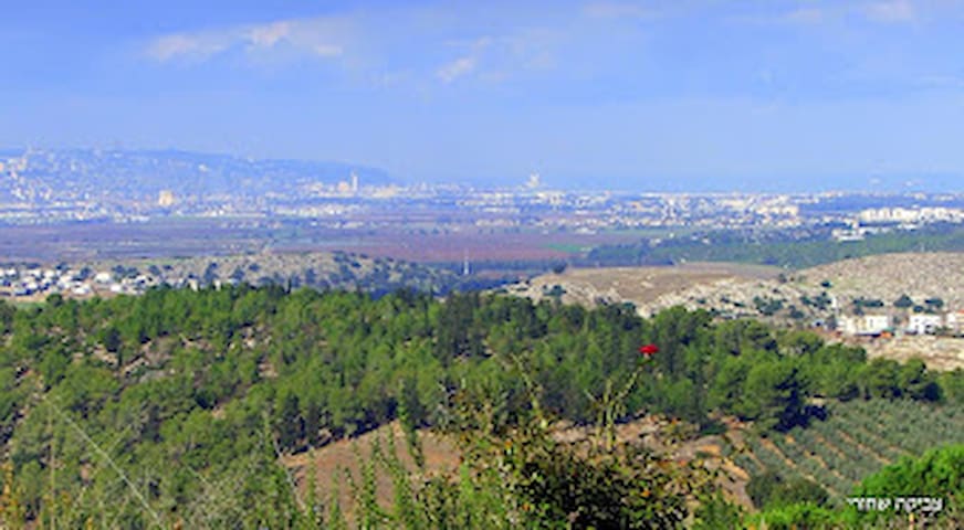 Airbnb Harduf Vacation Rentals Places To Stay North