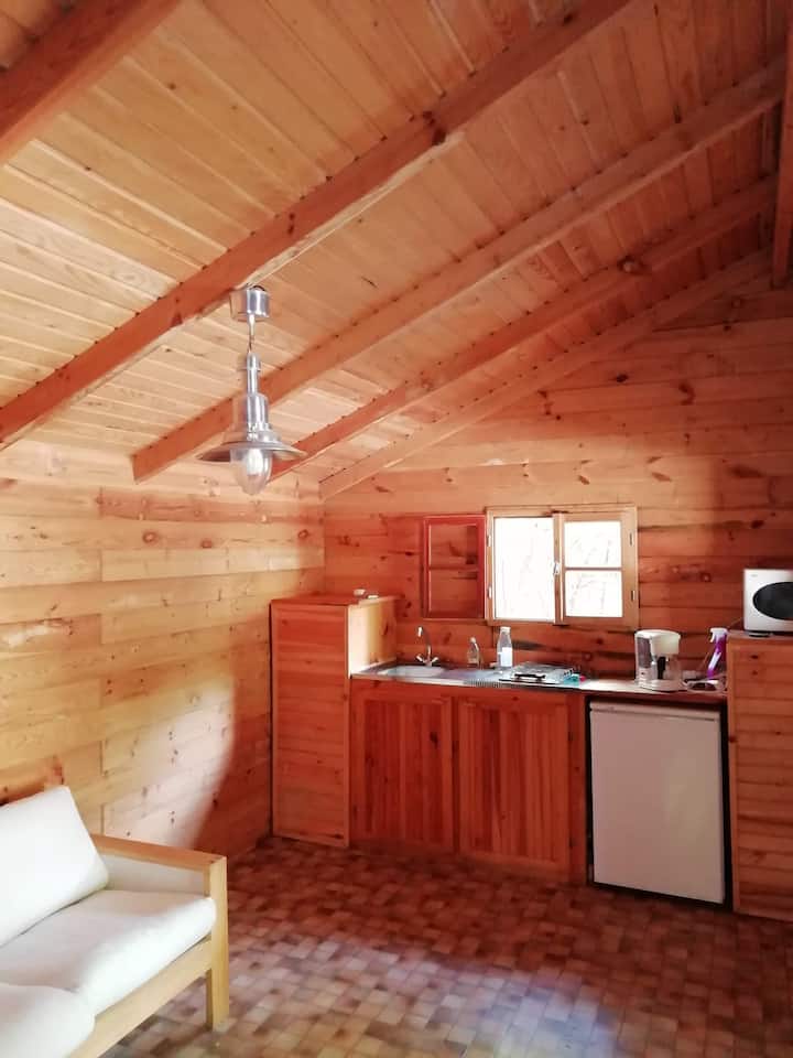 A Louer Chalet Bois Dans Camping Familial - Hourtin