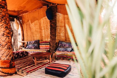 Ecological Farm in the heart of the palm grove