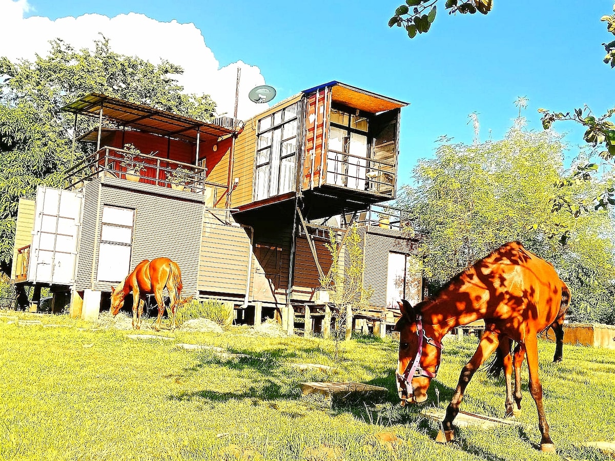 A modern container home is depicted, elevated on columns with a cantilevered design. Two horses are seen grazing on the lush green grass in the foreground. The structure features multiple decks and large windows, providing an inviting space surrounded by trees.