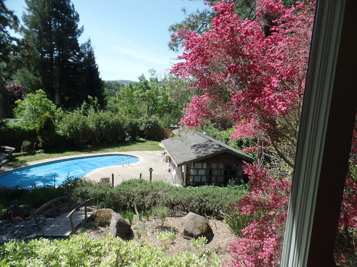 10 Best Airbnb Vacation Rentals In Orinda, California Updated 2024 Trip101