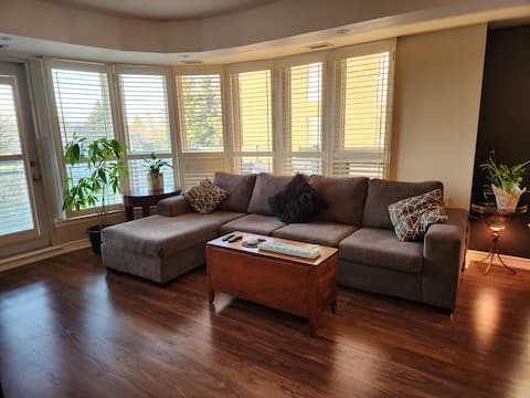 Top Airbnb: Sheppard West in York Centre