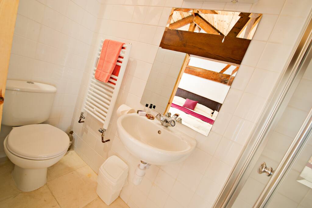 Shower, toilet and basin.