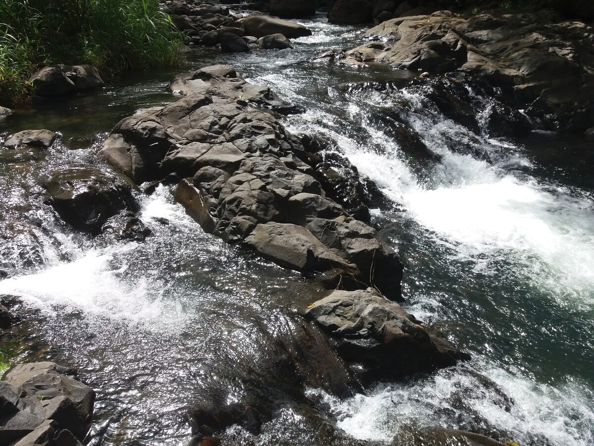 A serene river flows over smooth rocks, creating gentle ripples and splashes. Sunlight reflects off the water's surface, enhancing the natural beauty of the surrounding greenery. The landscape conveys a peaceful and tranquil atmosphere, inviting relaxation in a lush environment.