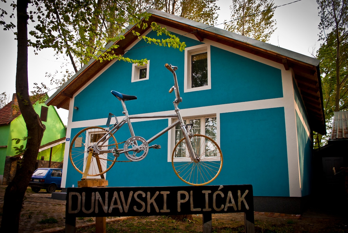 A vibrant blue guest house is viewed, accentuated by a unique bicycle mounted above a wooden sign that reads 'DUNAVSKI PLIĆAK'. Surrounding trees provide shade, and another building in a lighter green hue is observable in the background.