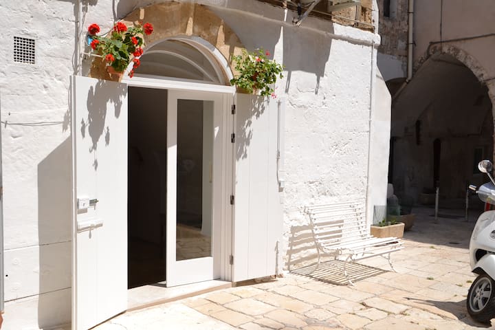 Vivi i colori ed i suoni di Bari