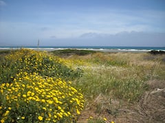 Sea+Nature+Relax%3A+Stintino+Sardinia