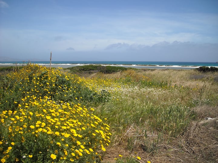 Sea Nature Relax: Stintino Sardinia