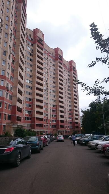The house