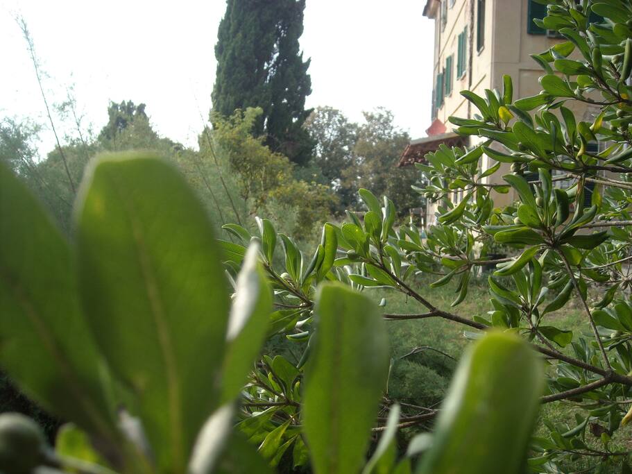 facciata a sud