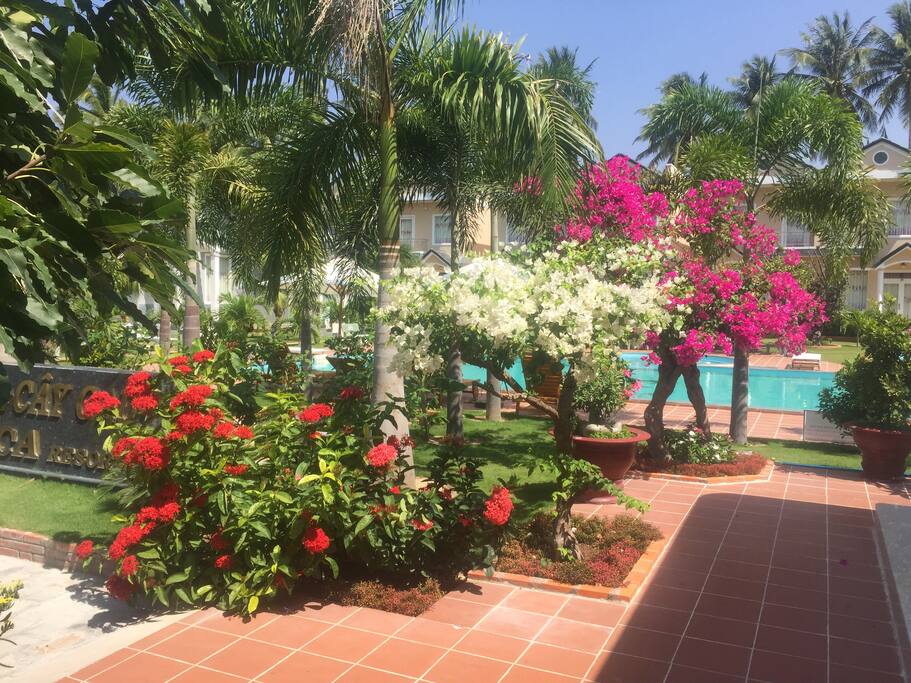 WELL CARED WITH GREEN TREES AND FLOWERS