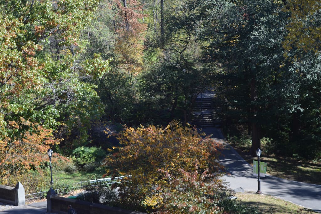 Entrance to Park on 103rd Street, taken from dining room window