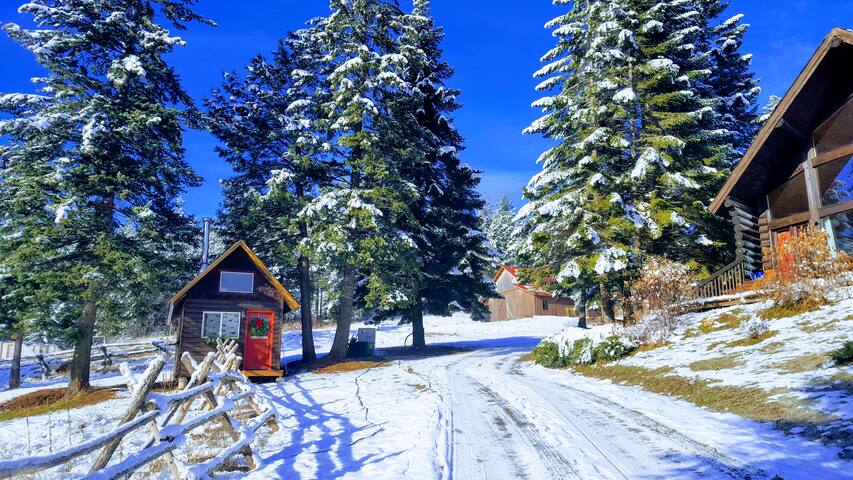 Top Lake Coeur D Alene Cabins Vacation Rentals Airbnb