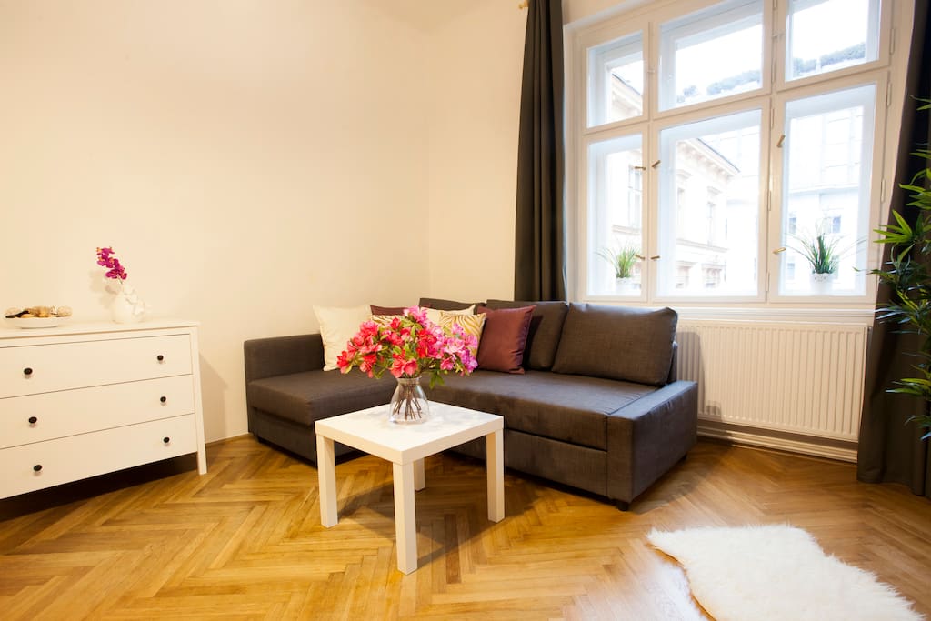 Living room with a convertible comfortable sofa and TV