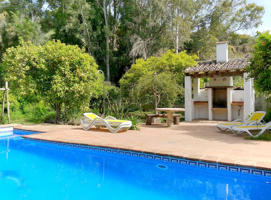 Swimming-pool and barbacue / Piscine et barbacue / Piscina y barbacoa