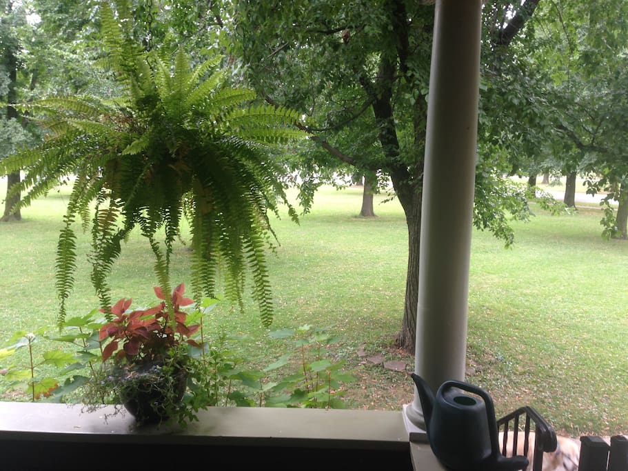 Front porch looking out onto Parkway
