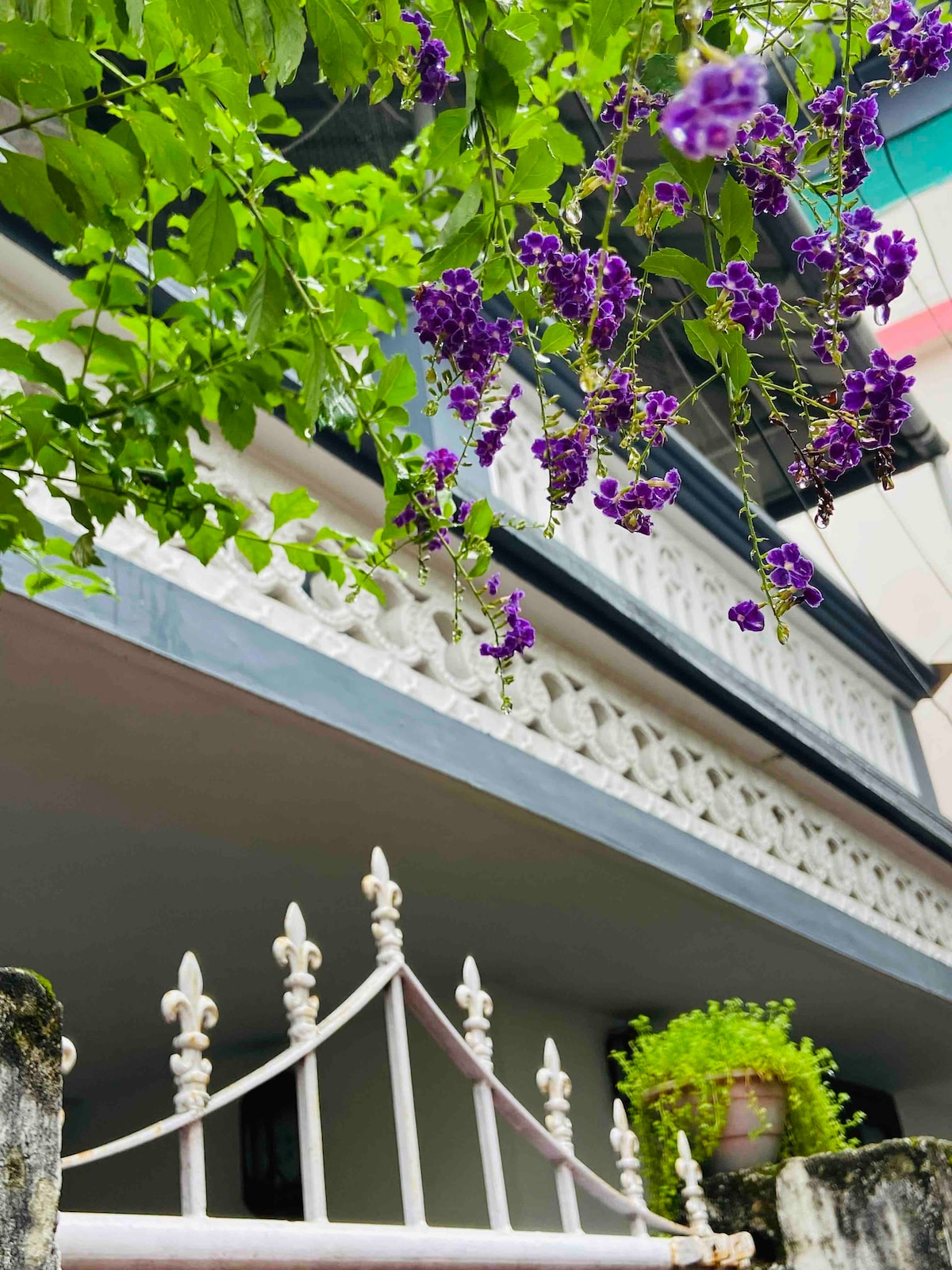 The image captures a charming entrance with delicate purple flowers cascading from above. A decorative iron gate leads to the house, which features intricate designs on the balcony above. Lush greenery enhances the inviting appearance of this residential space.