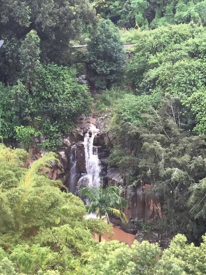 Maliko Retreat Farm stays for Rent in Makawao, Hawaii, United States