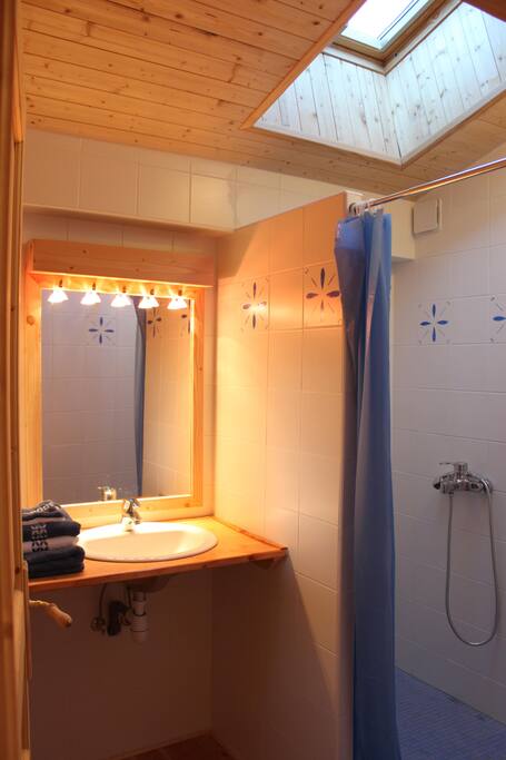 salle d'eau de la suite Myrtilles : une giga douche, un lavabo, et un WC séparé