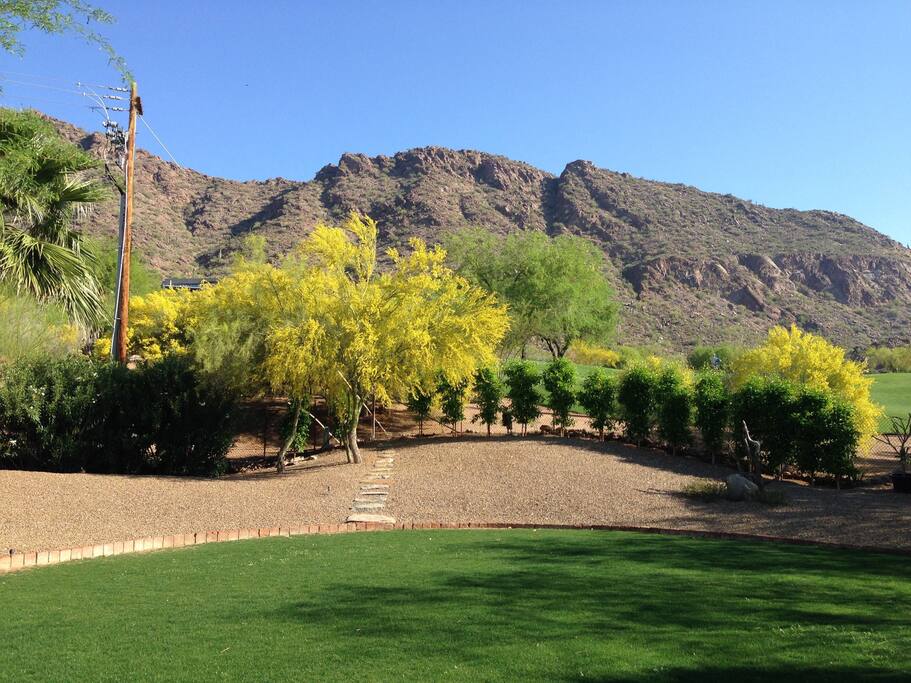 View from GH backyard