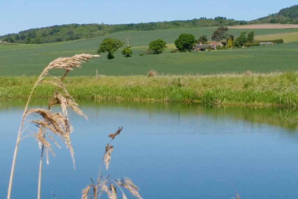 Views toward cottage