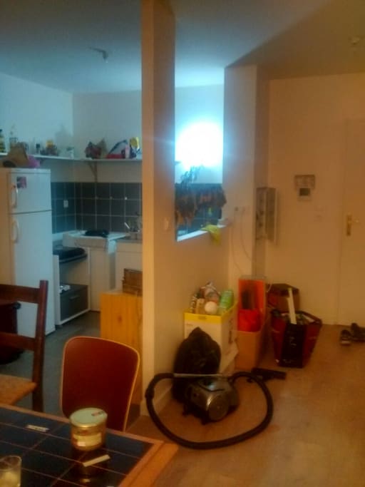 This is the kitchen in the living room, the door on the right is the entering one !