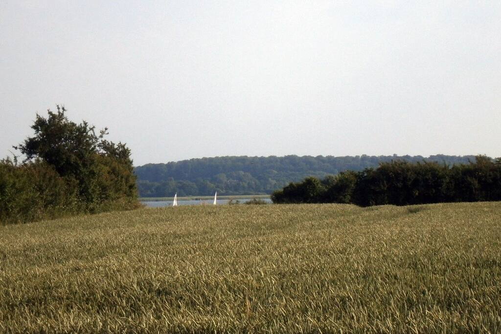 der Blick im Sommer aus dem Wohnbereich und von der Terasse