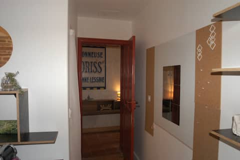 Dans Belle toulousaine et jardin en centre ville