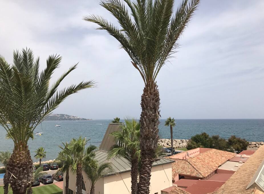 Vistas