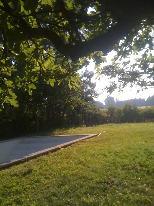 Piscine 12X5