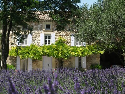L'Estivaliere, between vines and lavender