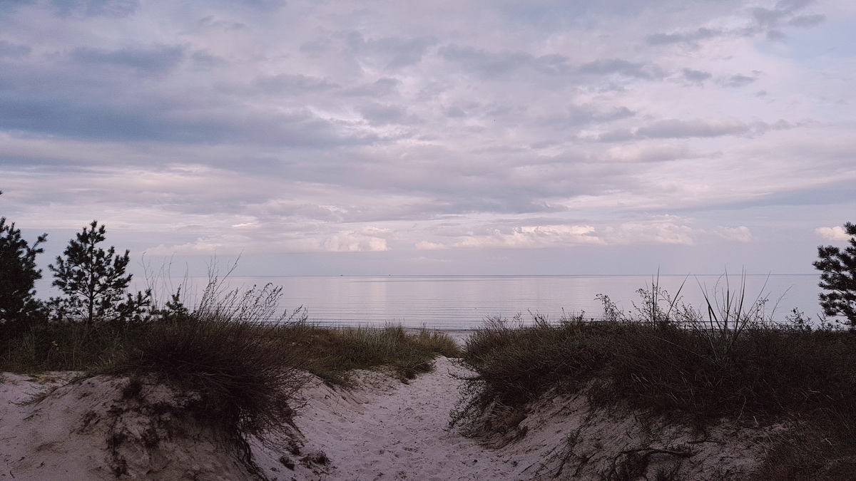 A sandy pathway leads to a calm sea, flanked by gentle dunes and low vegetation. The horizon is graced by soft clouds reflecting muted light, creating a serene coastal scene. The tranquil waters stretch towards the horizon, inviting relaxation and contemplation.