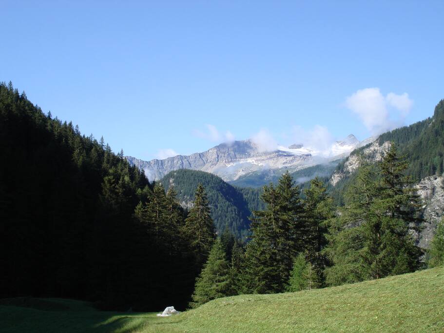 View of the mountains (South, Summer)