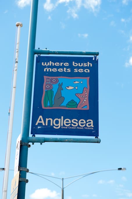 Anglesea is the first seaside village you arrive at on the Great Ocean Road 1.5 hrs from Melbourne.