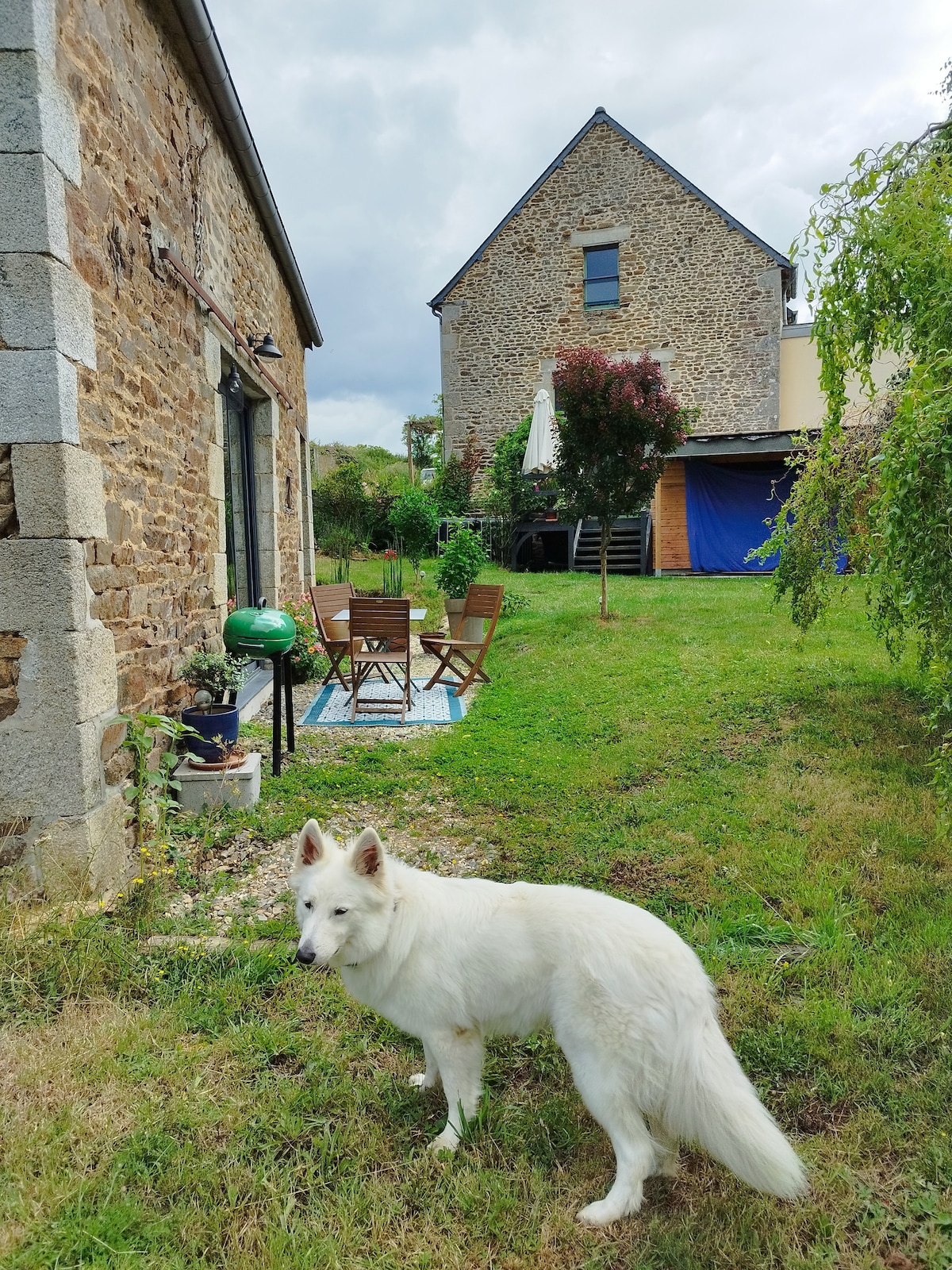 A white dog stands in a grassy yard, with a stone building and a two-story house visible in the background. Outdoor furniture, including a circular table and chairs, is arranged on a patio area. Lush greenery surrounds the outdoor space.