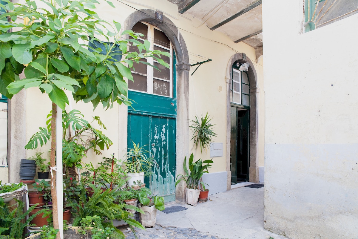 An entrance to the loft studio is framed by a vibrant green plant and potted foliage. Weathered doors in shades of green add character to the space, while a stone pathway leads to the door, creating a welcoming atmosphere.
