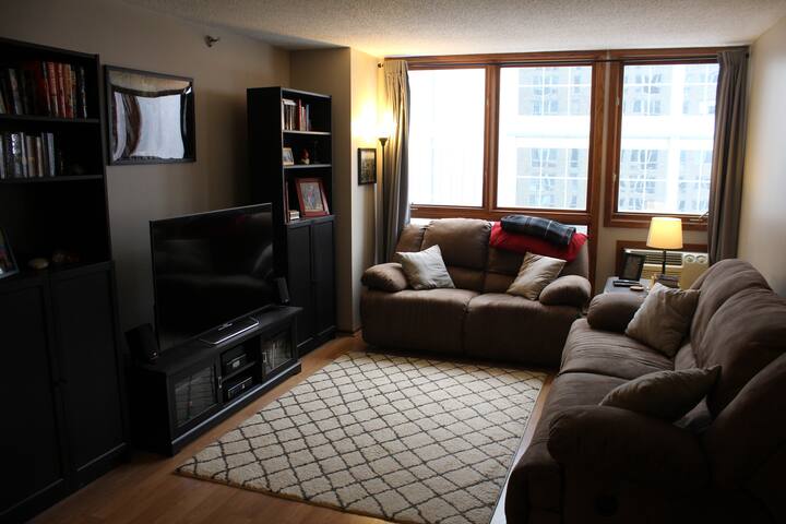 Skyway Connected Apt 4 blocks from US Bank Stadium