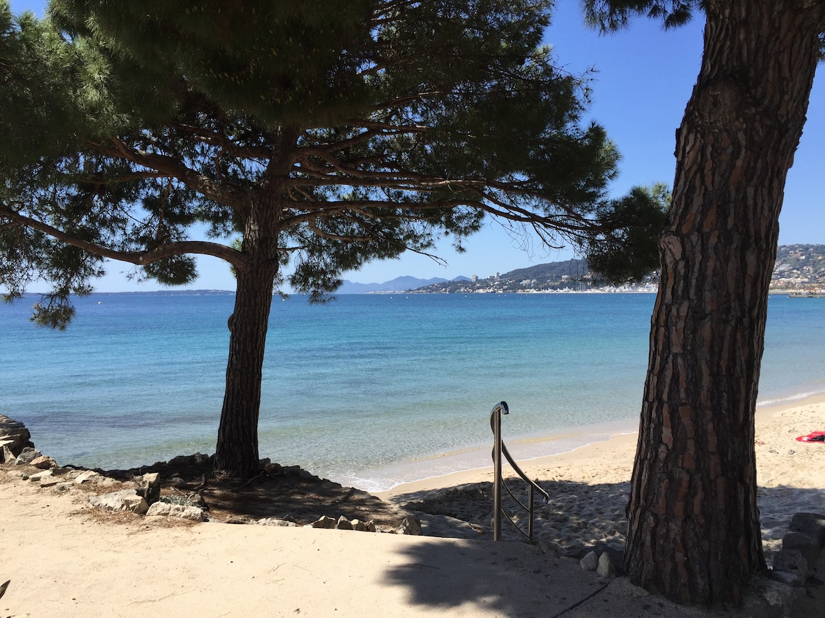 Two tall pine trees frame a sandy beach leading to calm blue waters. A set of steps descends towards the shore, while distant hills and a coastal town are visible across the water under a clear sky.