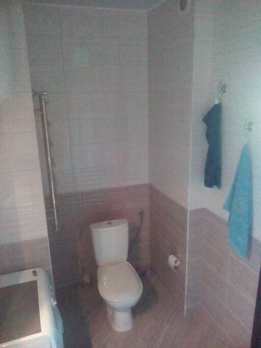 The bathroom (photo 1)