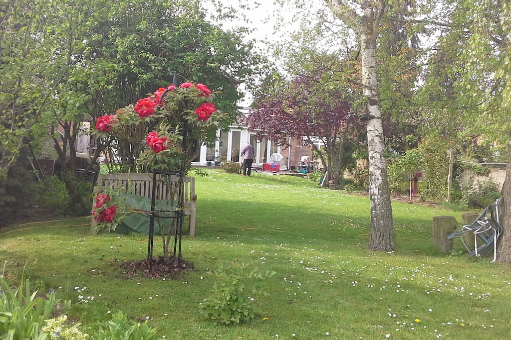 lovely garden to share