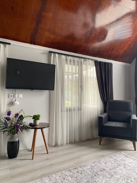 Successful Airbnb property: Sapanca Little House in Sakarya