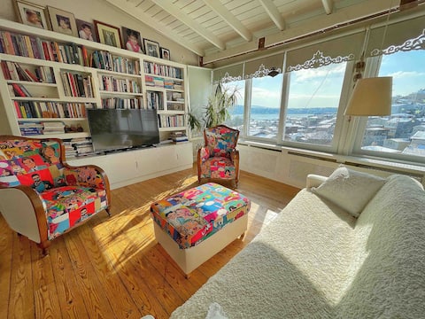 Top performing Airbnb: Duplex villa with Bosphorus view (no smoking) in Beşiktaş